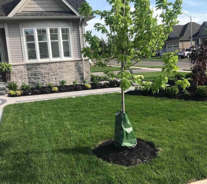 Landscaping Toronto